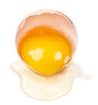 Your Hair is not like an Egg