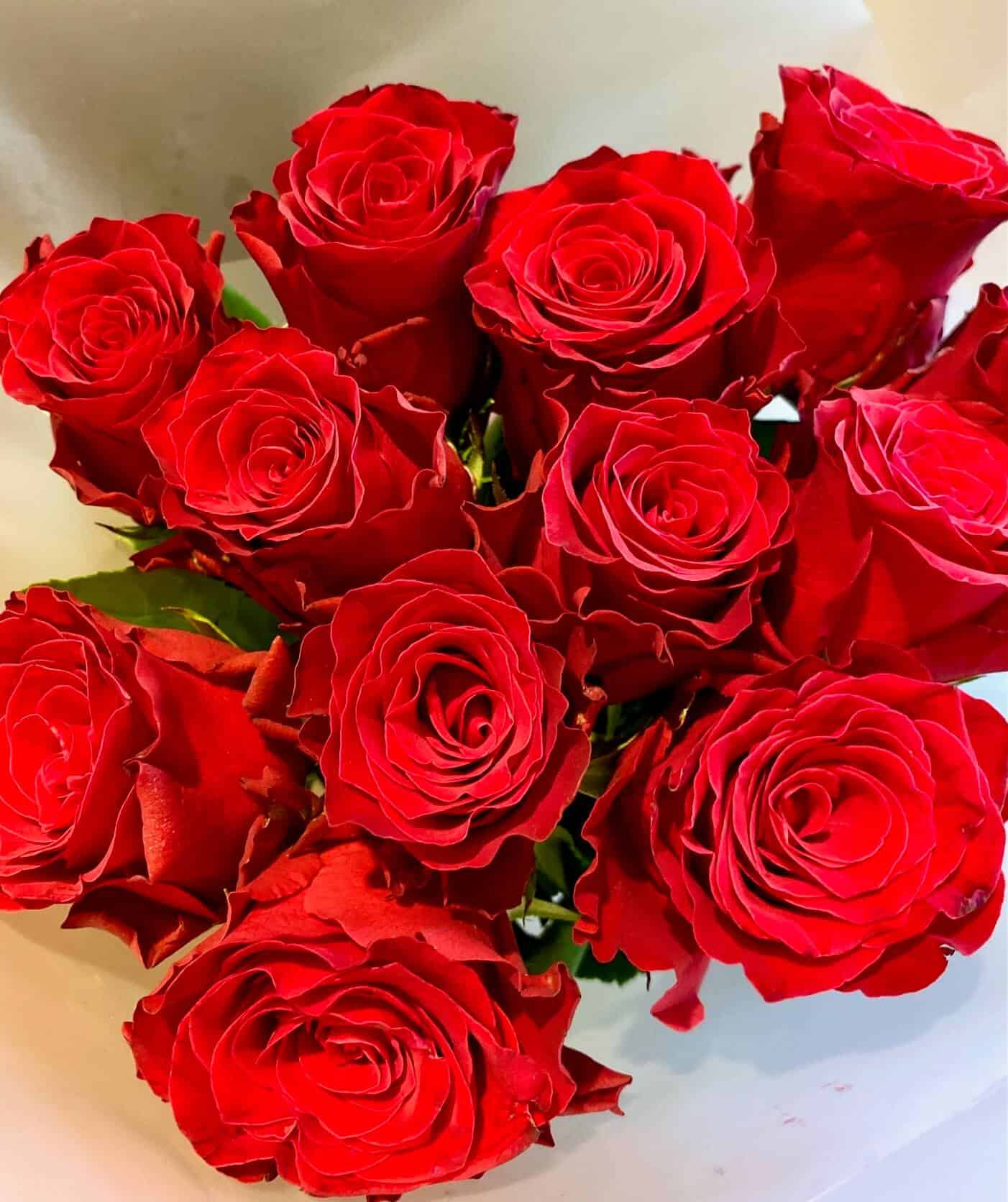 12 red roses