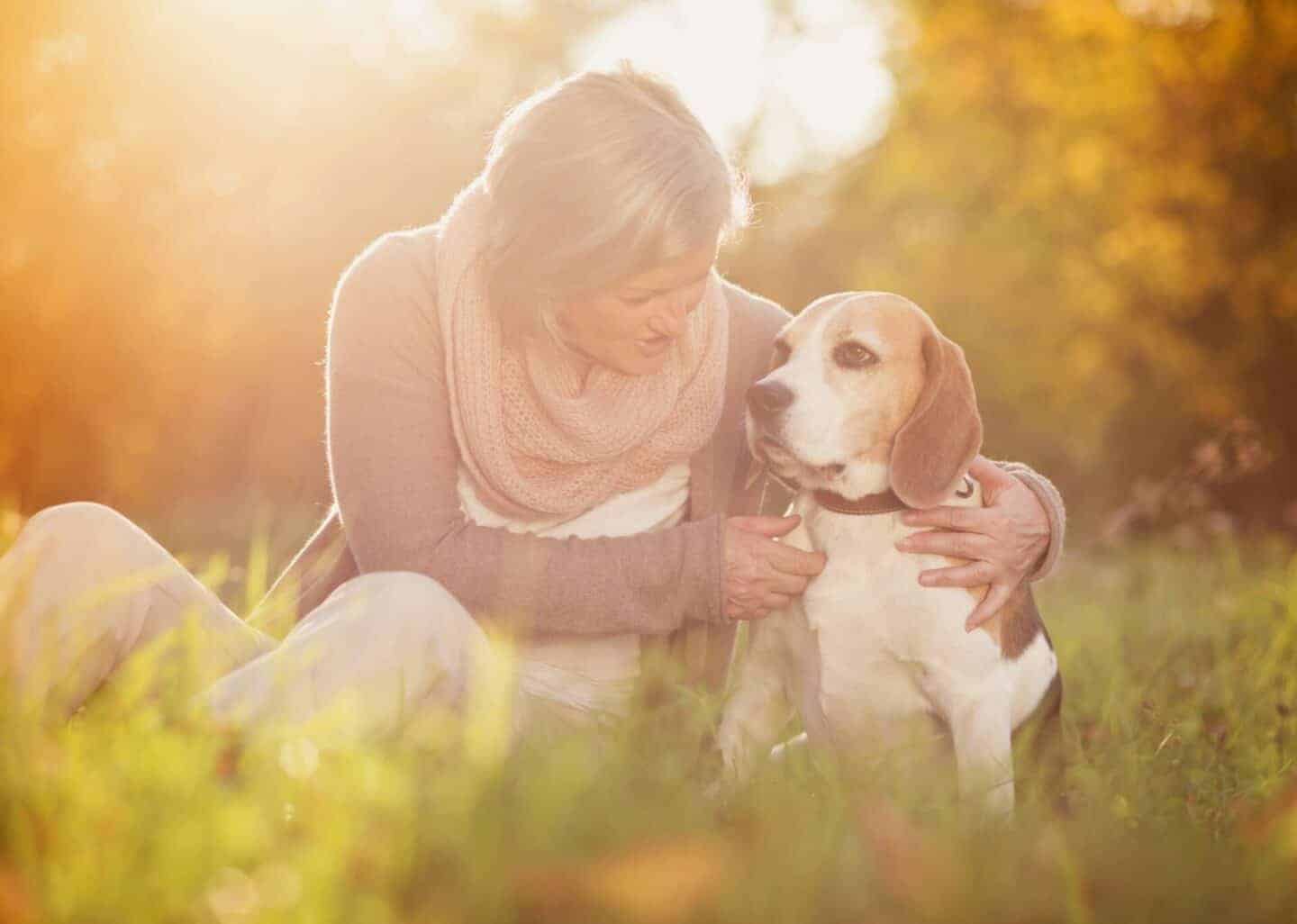 Understanding Emotional Support Animals and Holistic Well‑Being