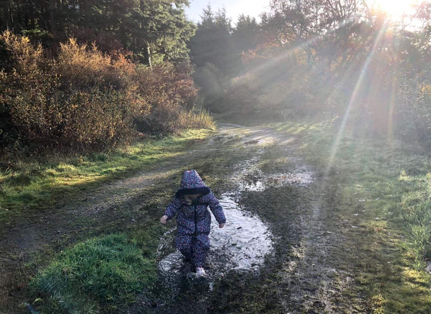 What we have enjoyed in November