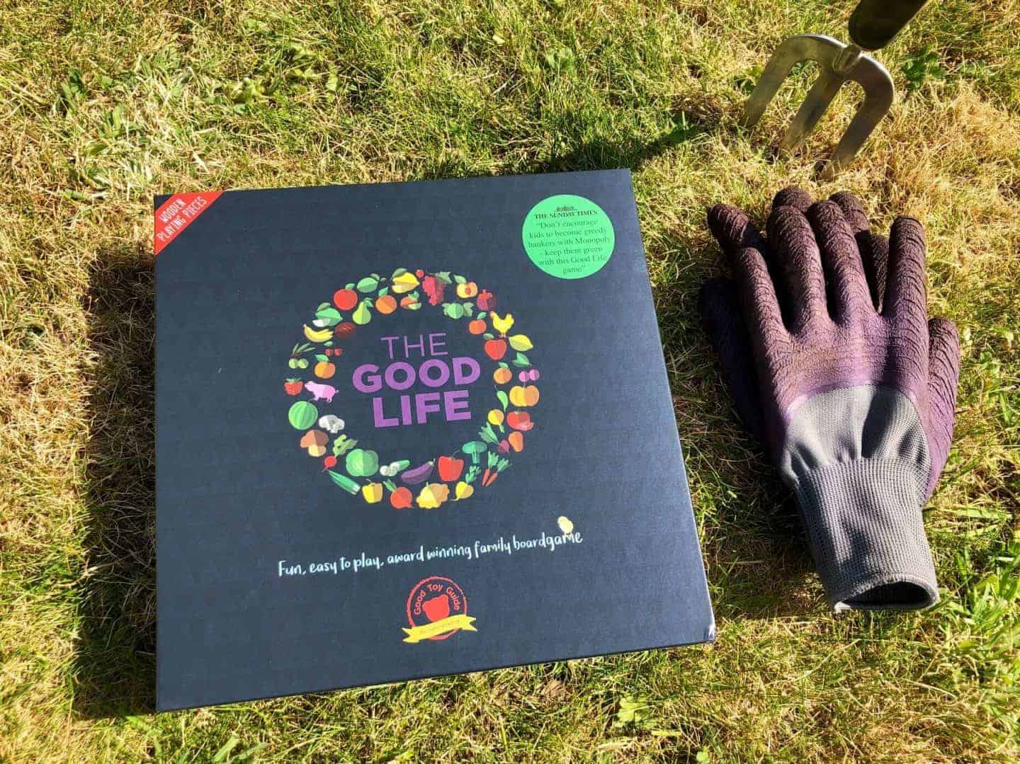 The Good Life Board Game Review and Giveaway - Rachel Bustin