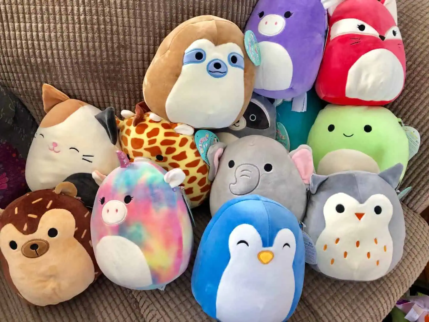 Review: Squishmallows The Next Big Collectable Rachel Bustin