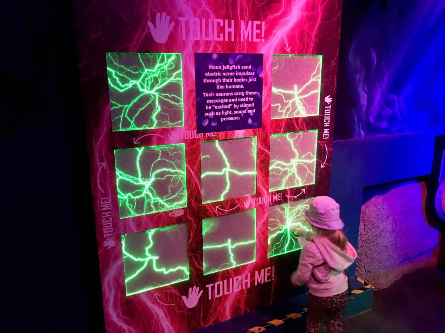 jellyfish-touch-me-board