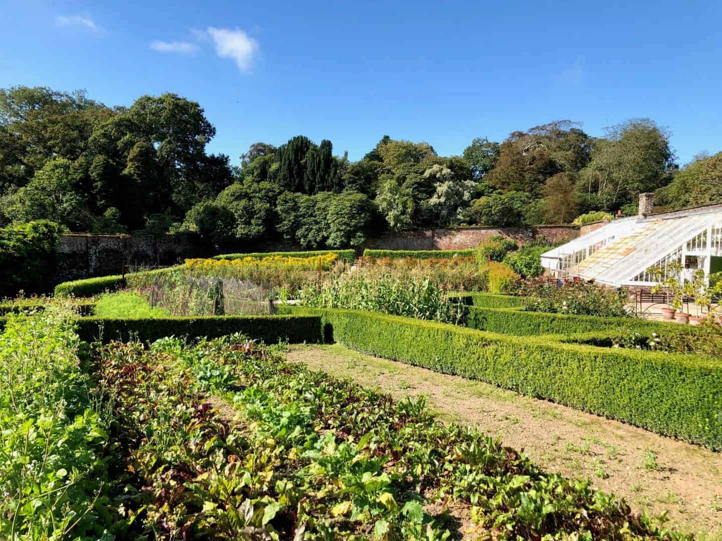 Heligan gardens 