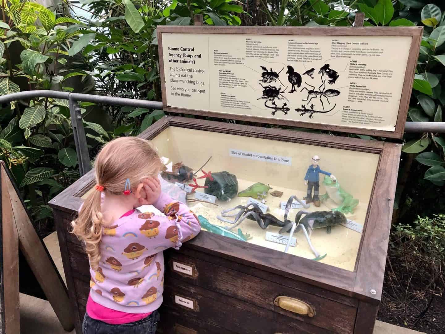 Rainforest Biome Control Agency - bugs and animals inside the biome