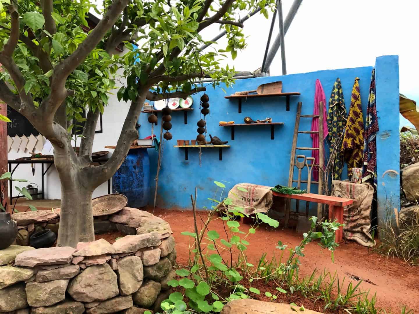 The CAMFED Garden
