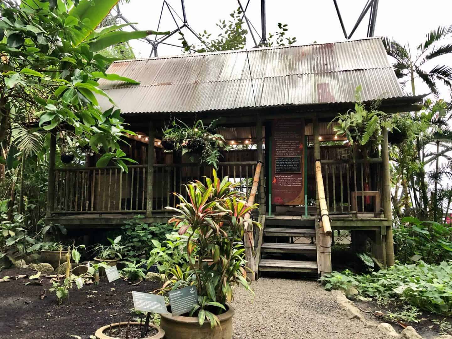 The Malaysian House