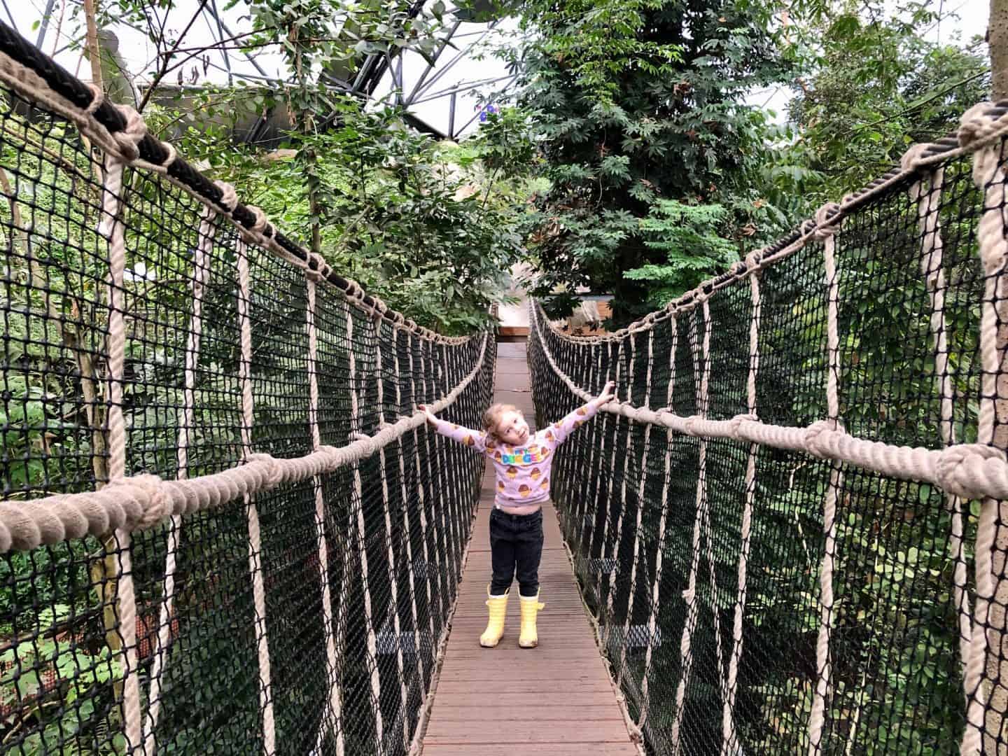 The Rope Bridge
