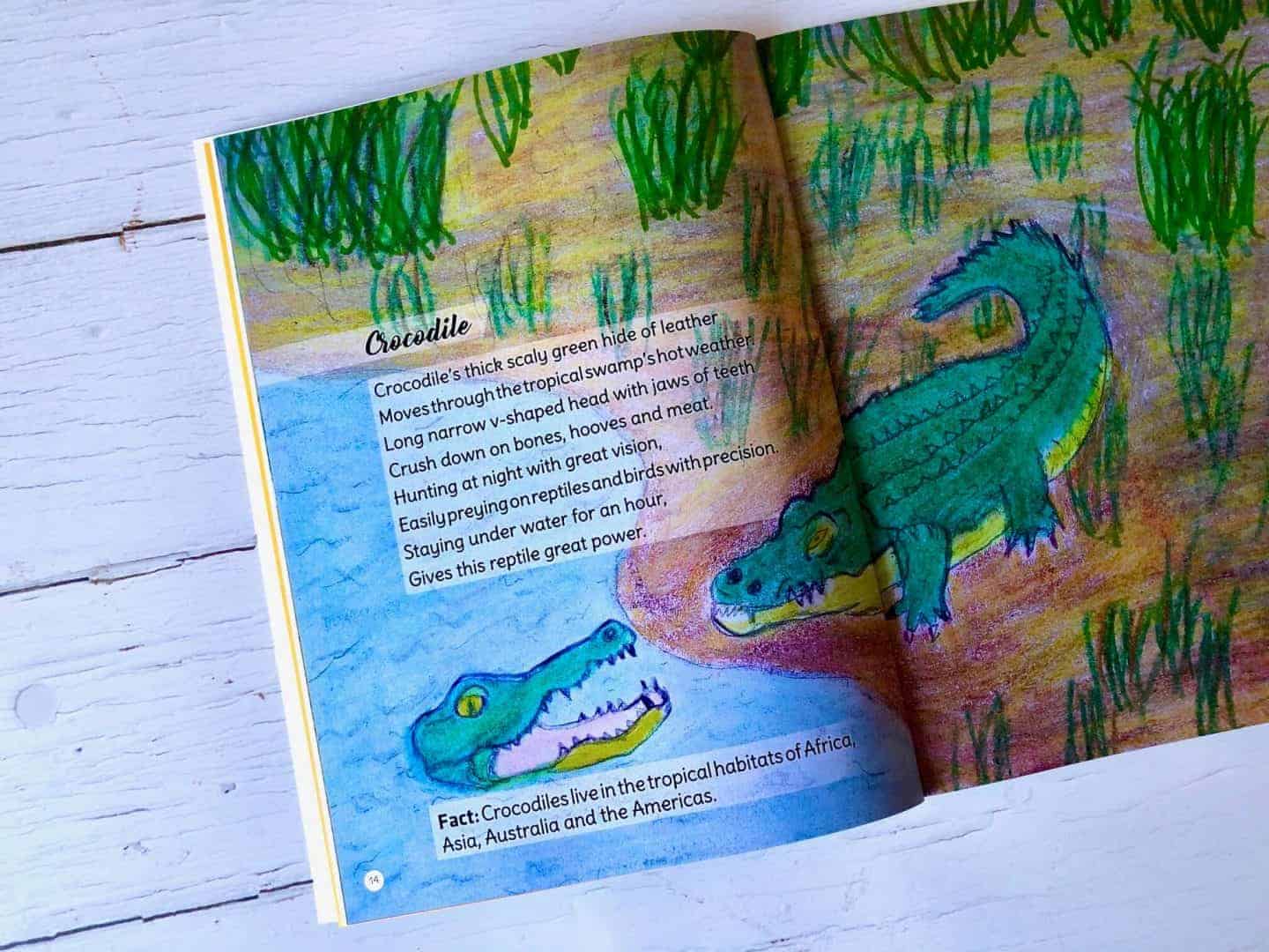 Jungle Animals by Mels Mackey - Review and Giveaway