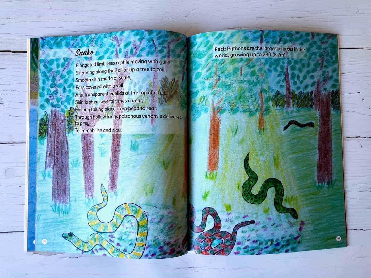 Jungle Animals by Mels Mackey - Review and Giveaway