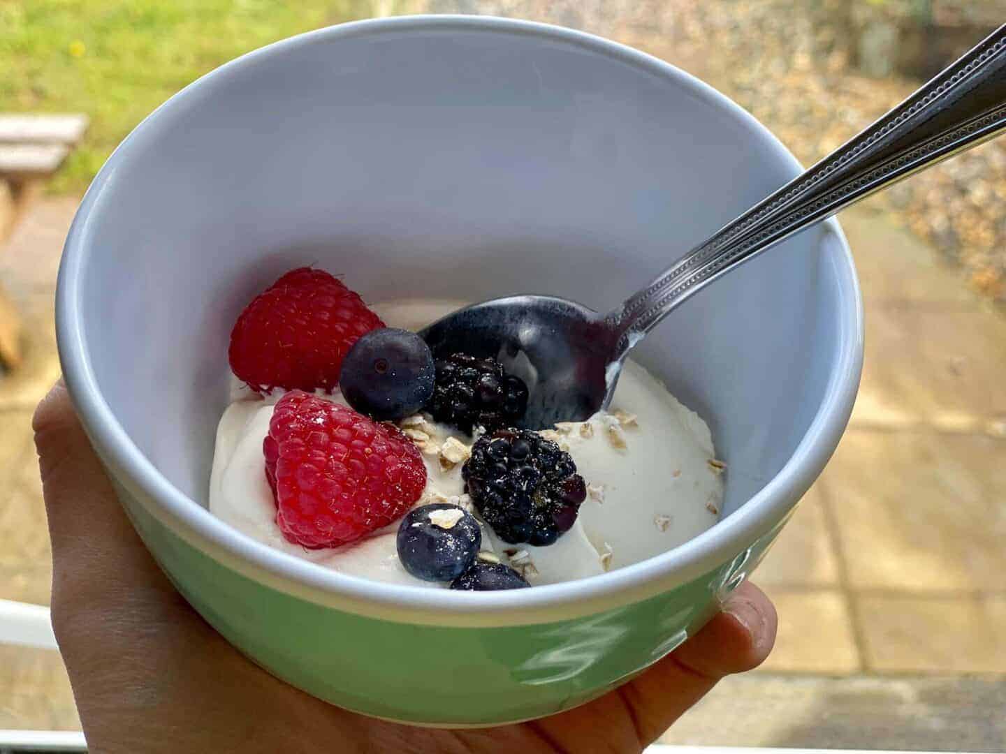 probio7 yogurt