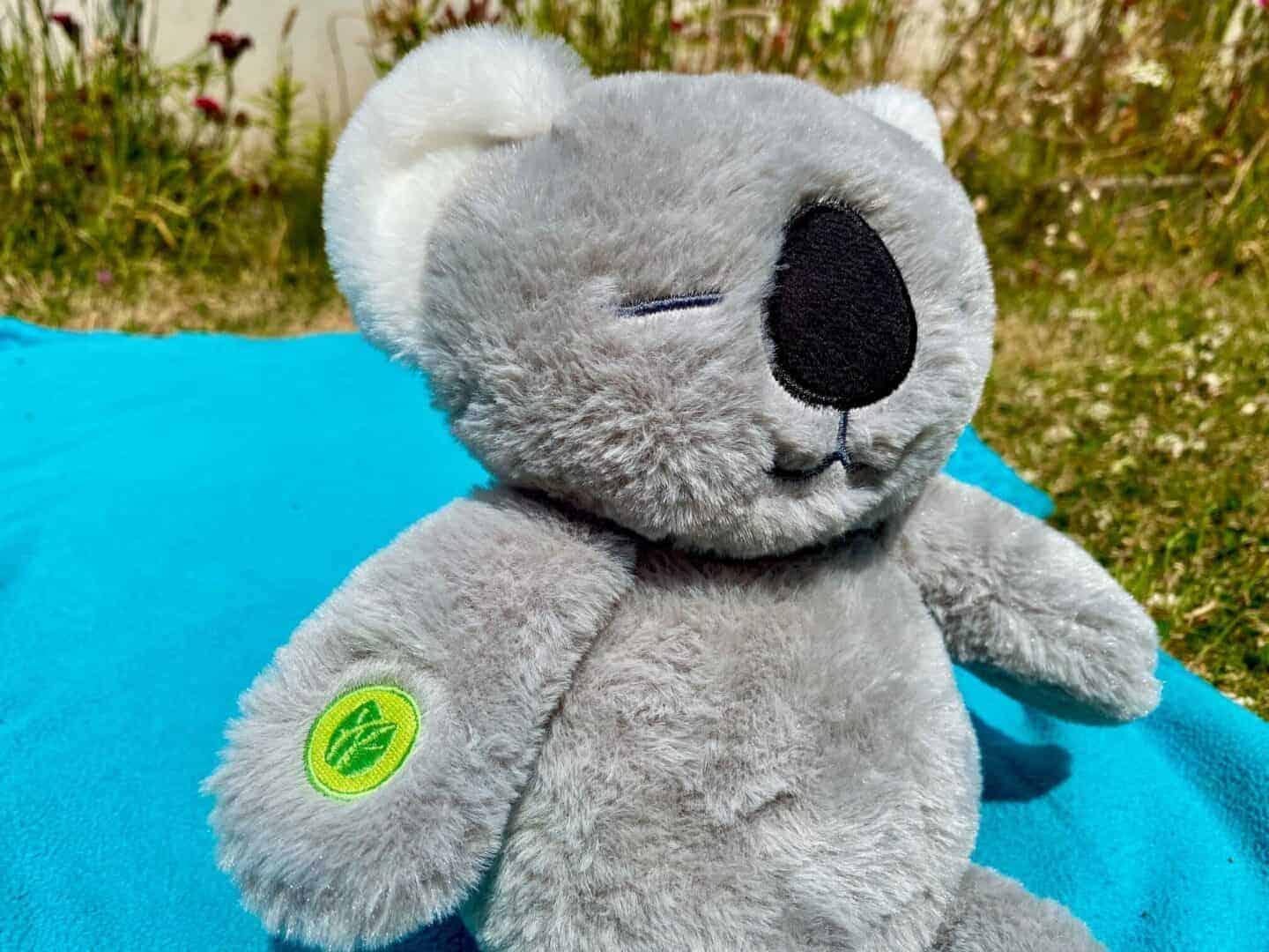 Mindful Lil Minds koala