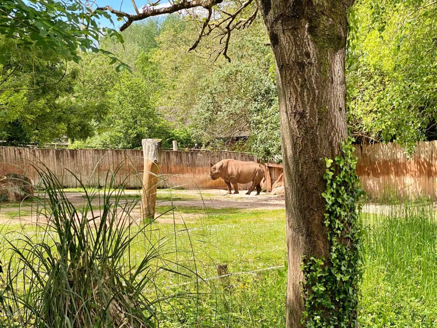 The Best Animal Experiences in the UK Rachel Bustin