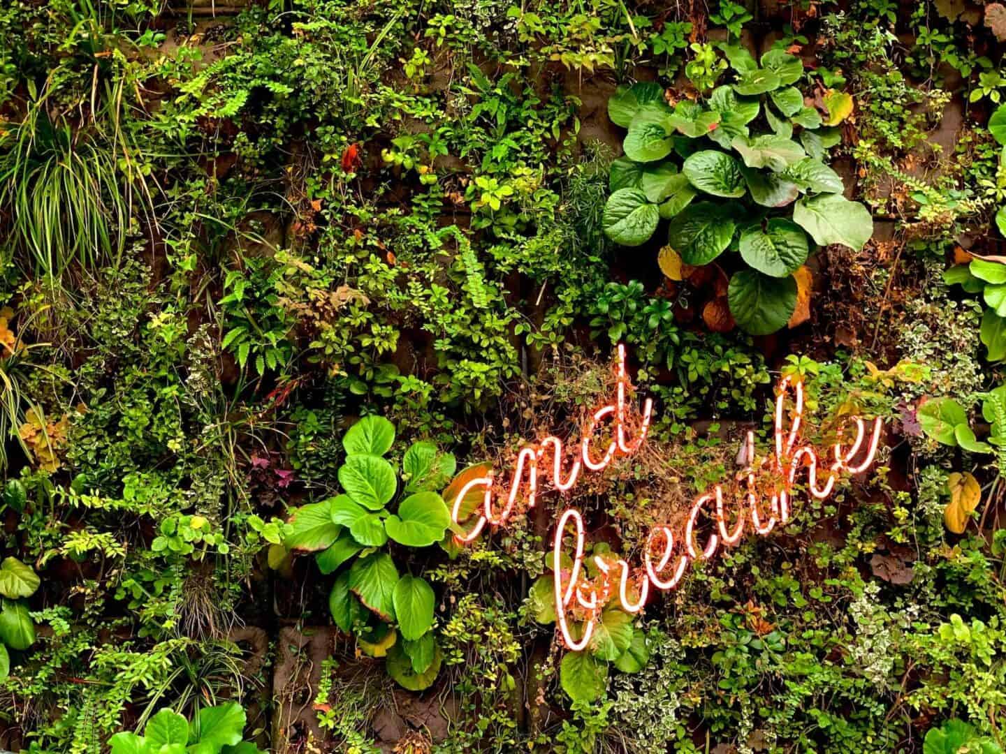 Improve Your Mental And Physical Health With These Effective Strategies