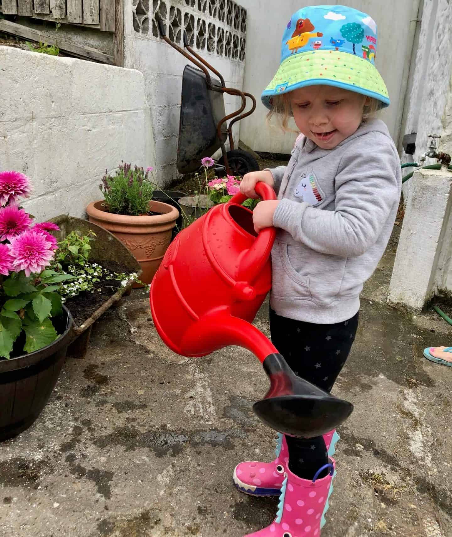 watering plants