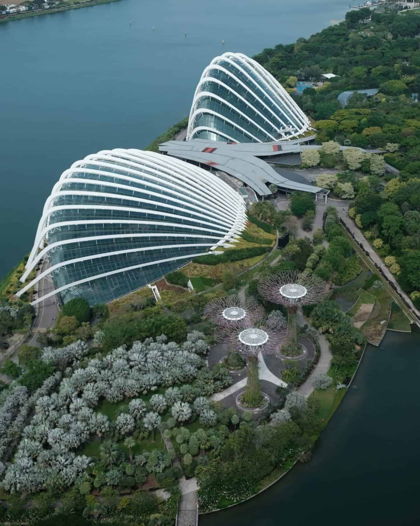 The Flower Dome and Cloud Forest