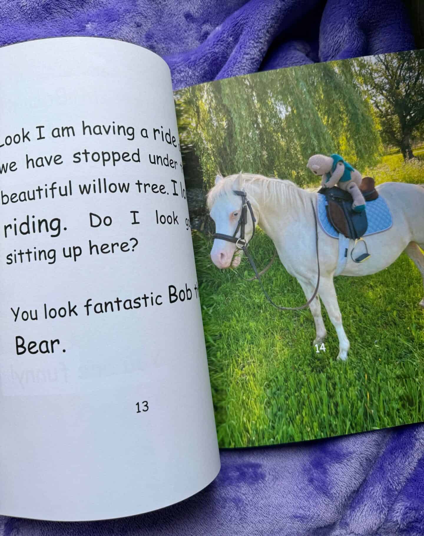 Book Review: More Fun with Bob the Bear by Alice Chambers