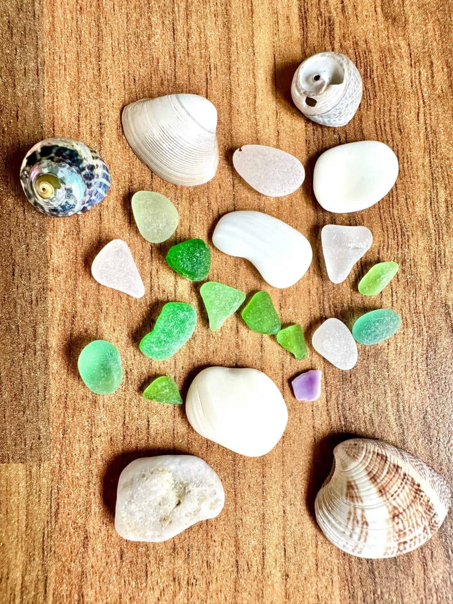 Collecting sea treasure from Swanpool Beach