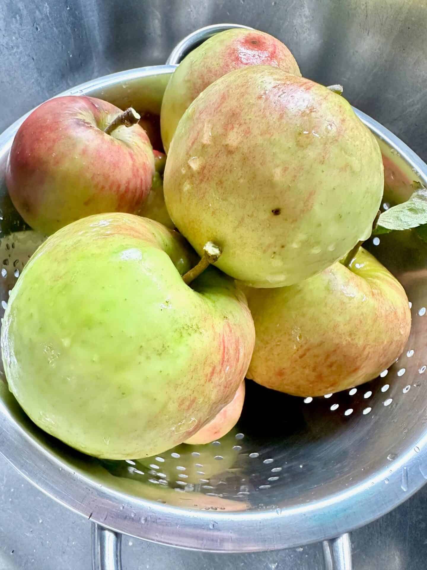 Discovering Farming Fun: Online Farming Games for Kids - Rachel Bustin