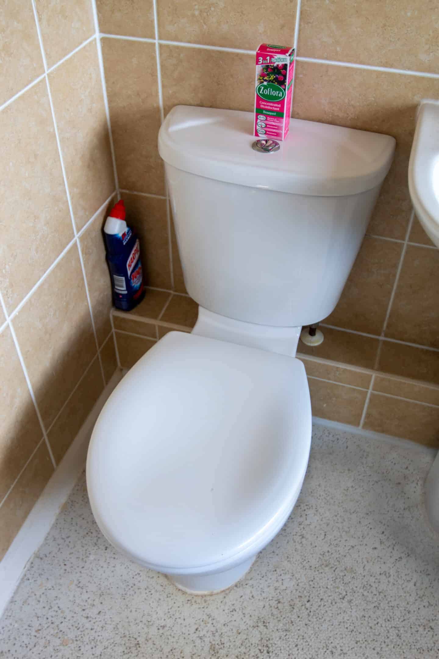 white clean toilet with a box of zoflora on top of the cysten