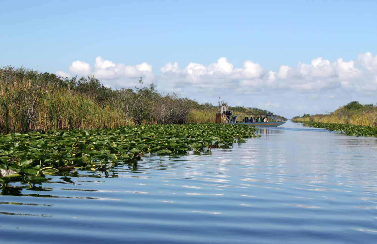 Airboat In Everglades
