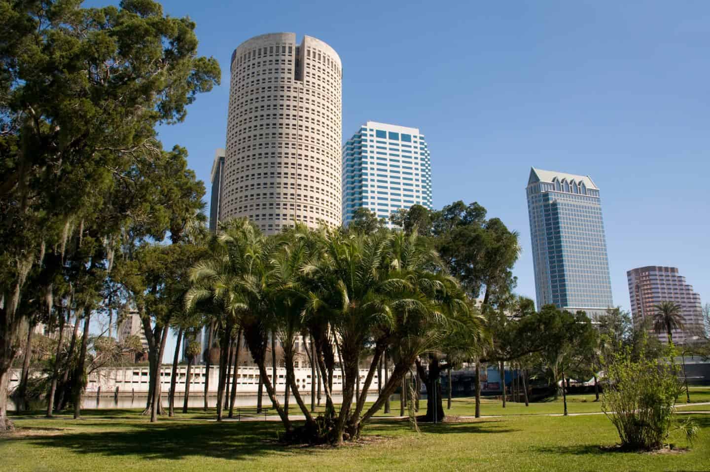 What to expect when visiting Tampa Bay