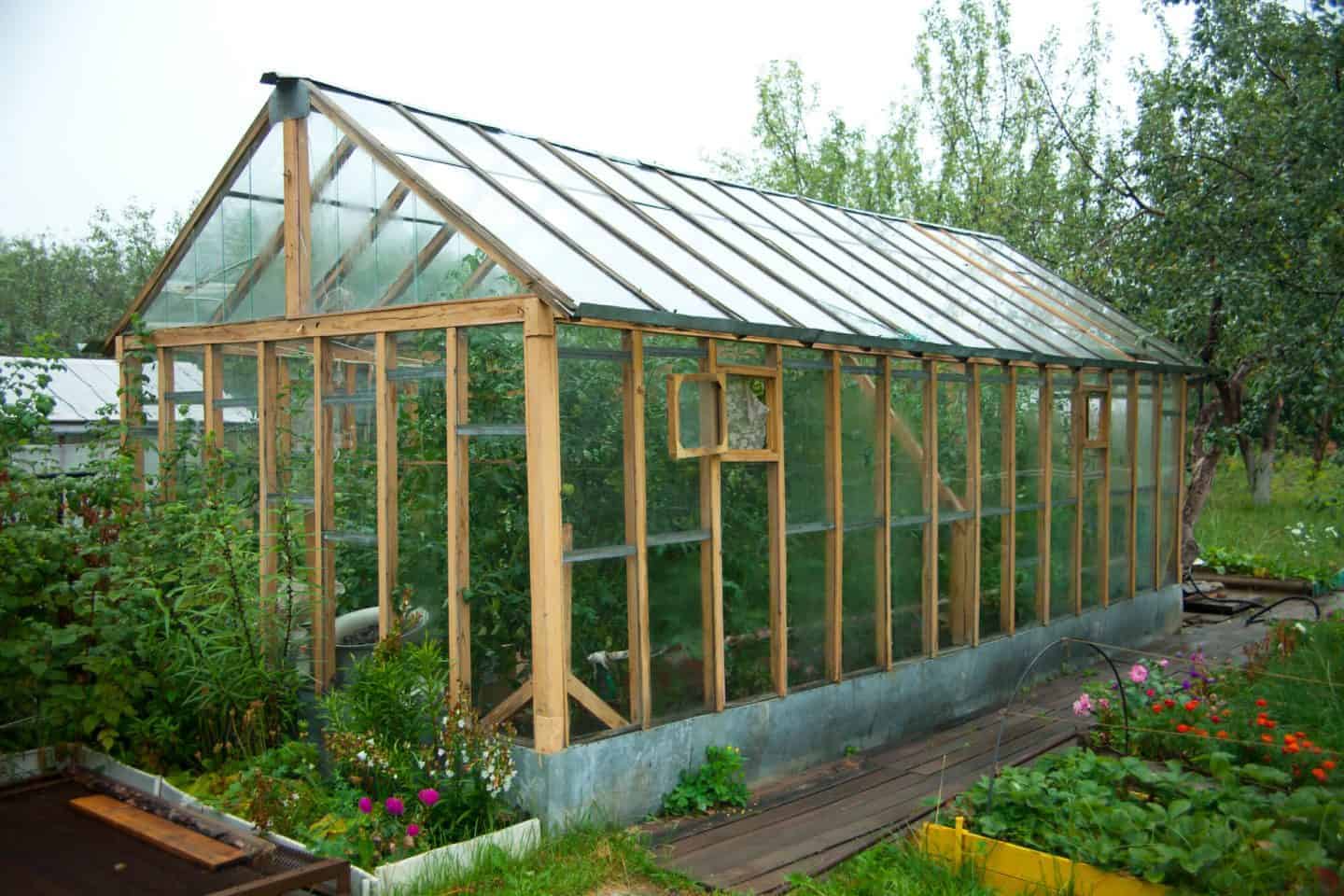 Preparing Your Greenhouse for a Project Filled Spring