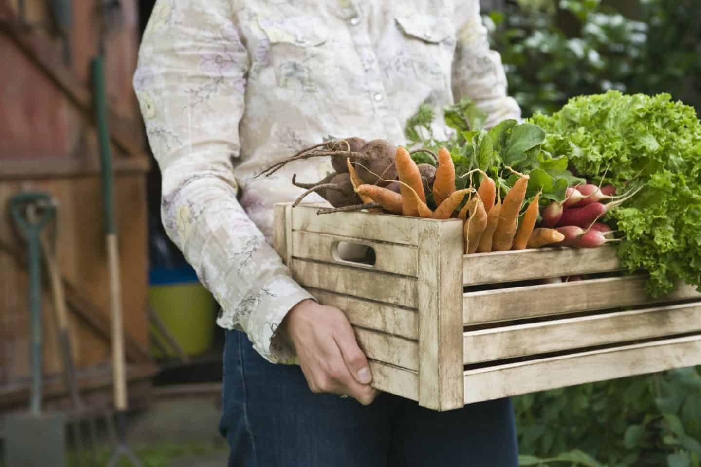 4 Top Gardening Trends For 2019 With The Main Types Of Gardener.jpg