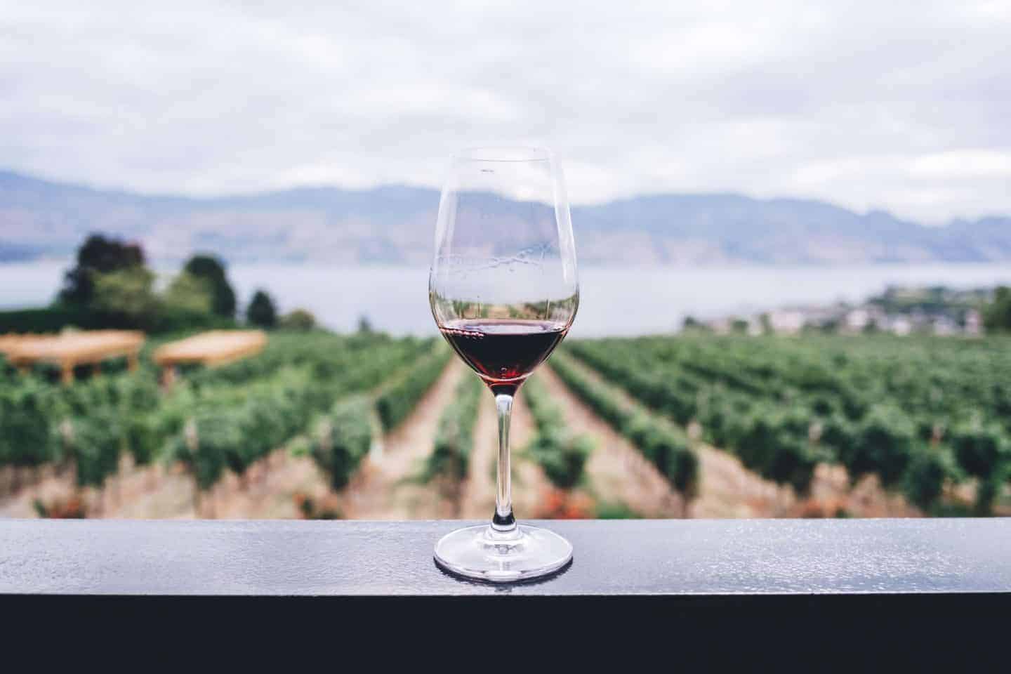 Wine-Tasting