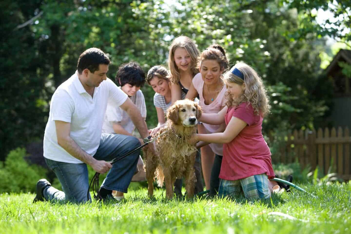 How to Introduce Your Children to a New Partner After a Divorce