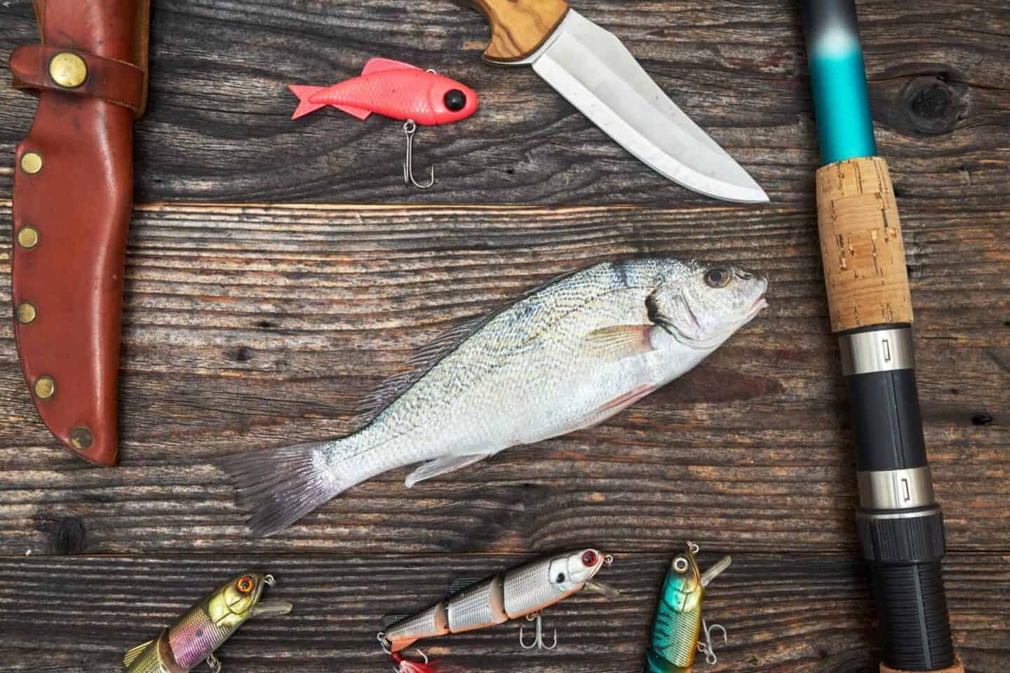 The Benefits of Premium Knives when Fishing