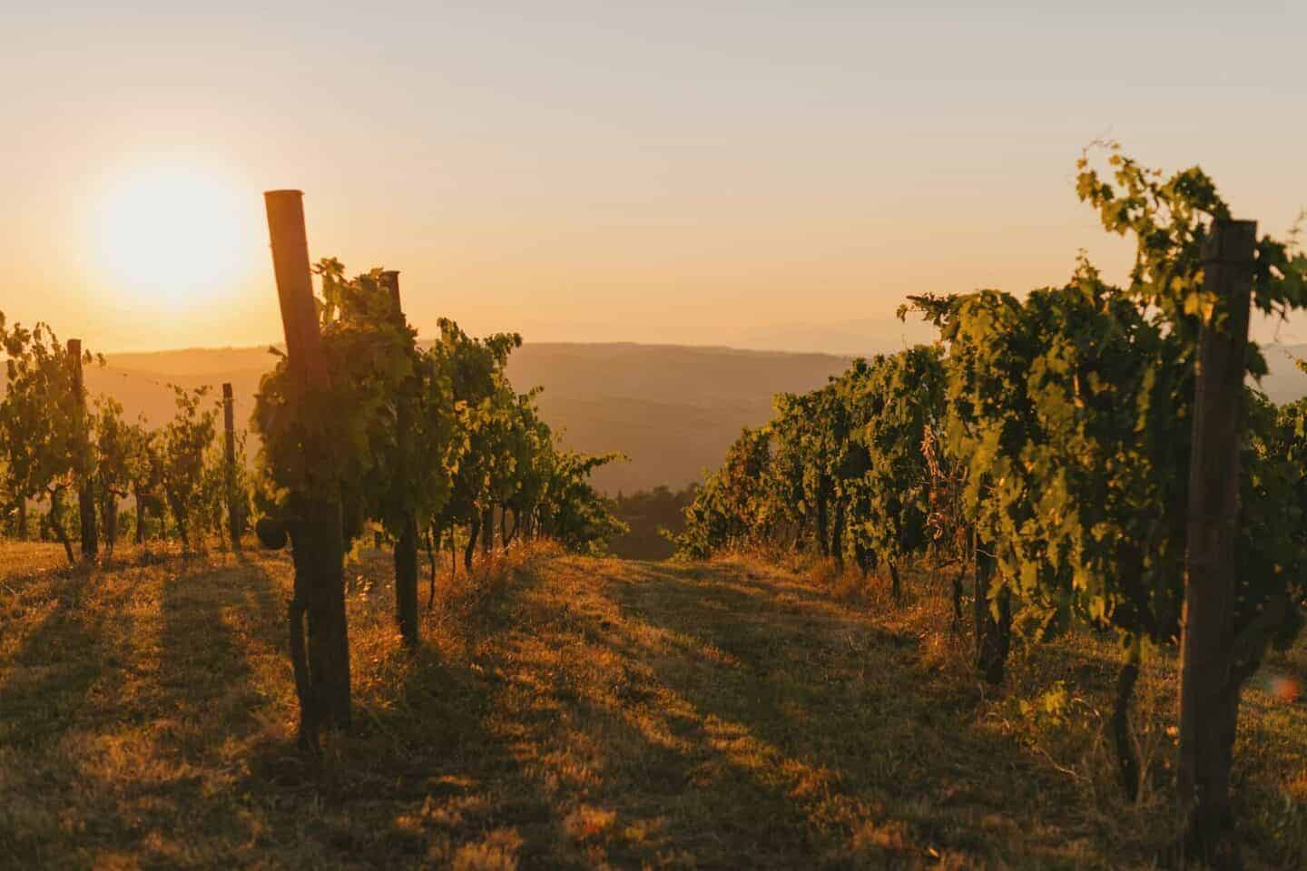 The Best Ways to Enjoy Tuscany Without the Crowds