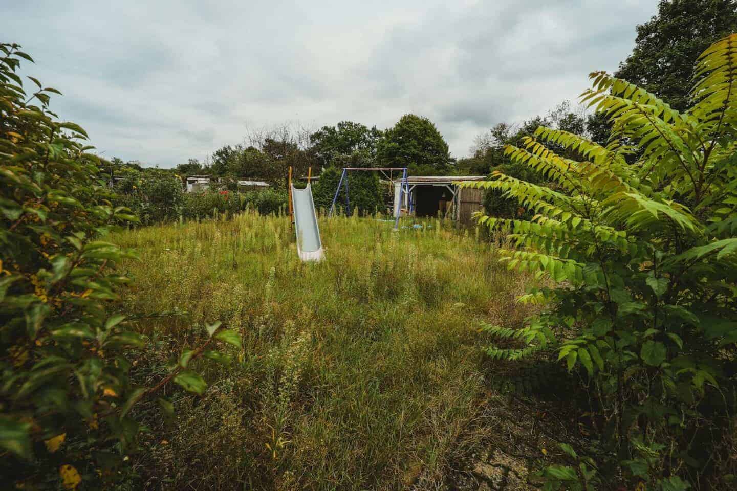 How to Reclaim Your Garden this Summer
