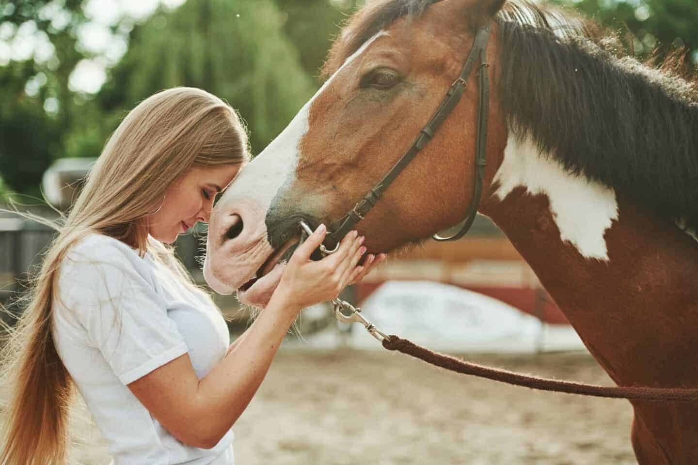 Beyond Talk Therapy: How Art, Music, and Animal Therapy Support Addiction Recovery