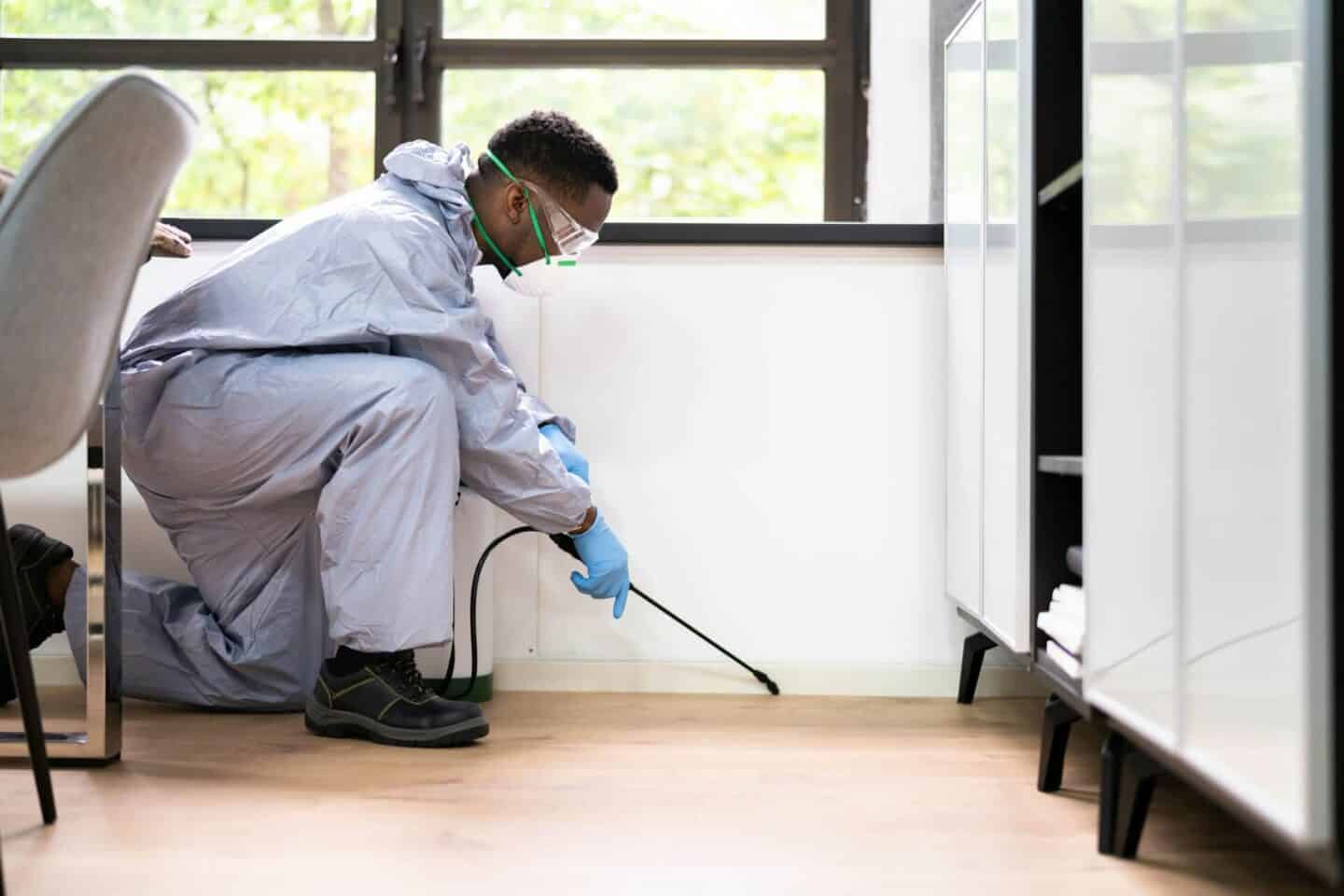 What the Best Pest Control Companies Do That DIY Sprays Simply Cannot