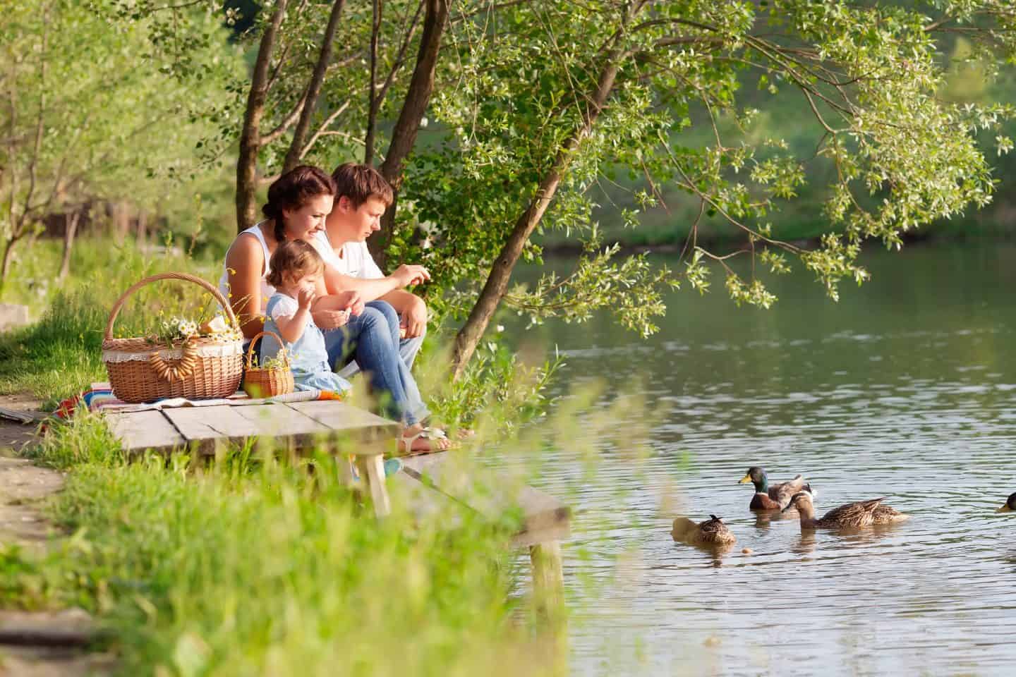 A couple sitting by a river with ducks swimming by