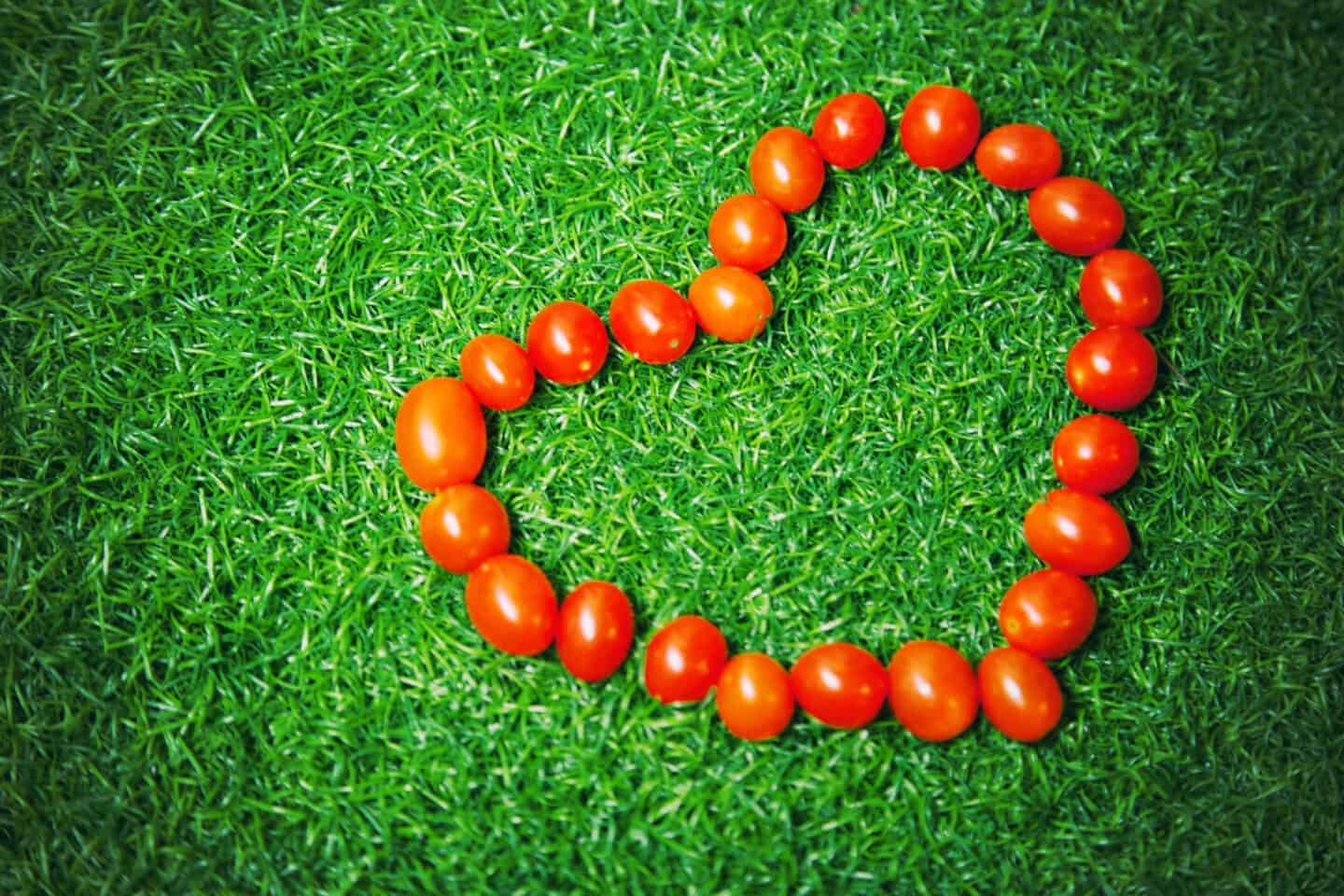 red tomatoes in heart shape on green grass