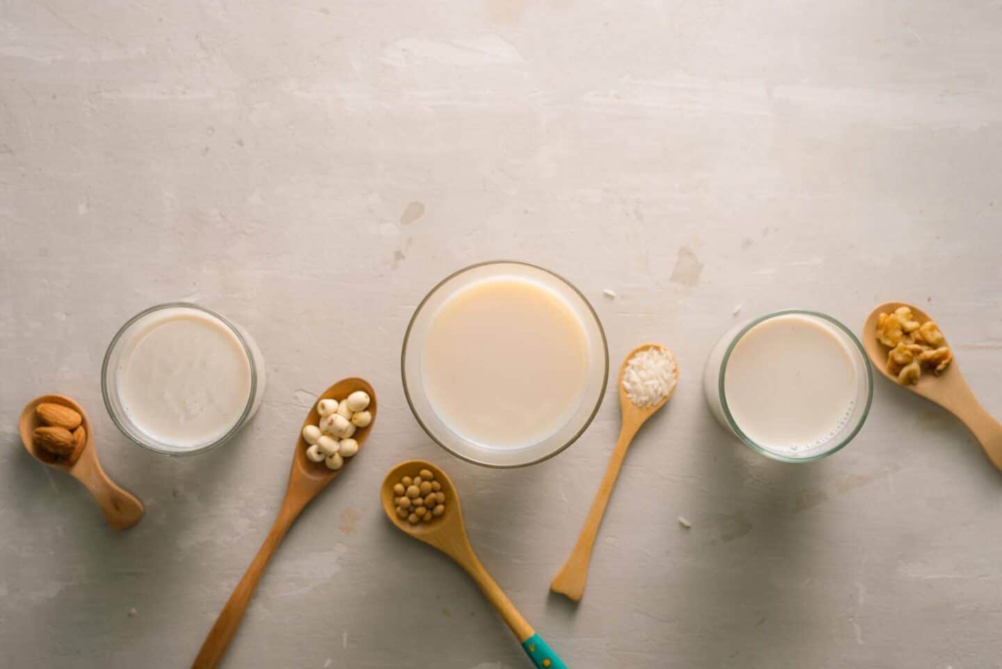A Guide To Plant Milk The Best DairyFree Alternatives To Cow's Milk