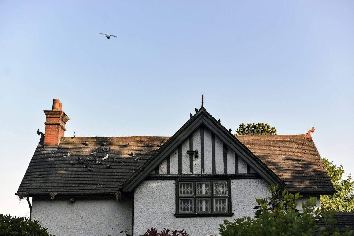 Common Roof Damage Signs You Shouldn’t Ignore