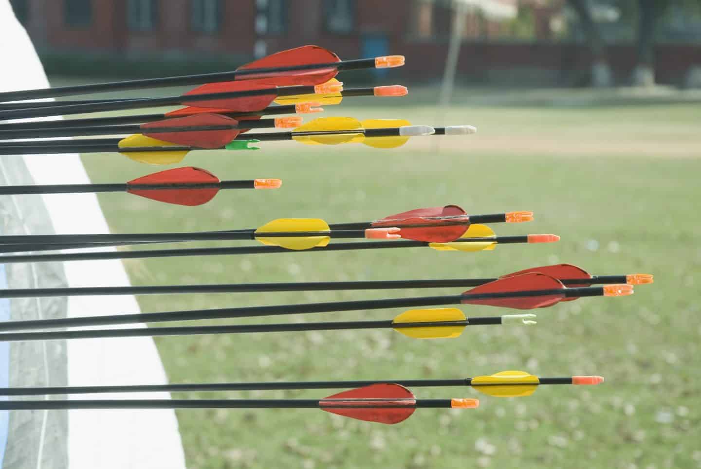 arrows in target at archery