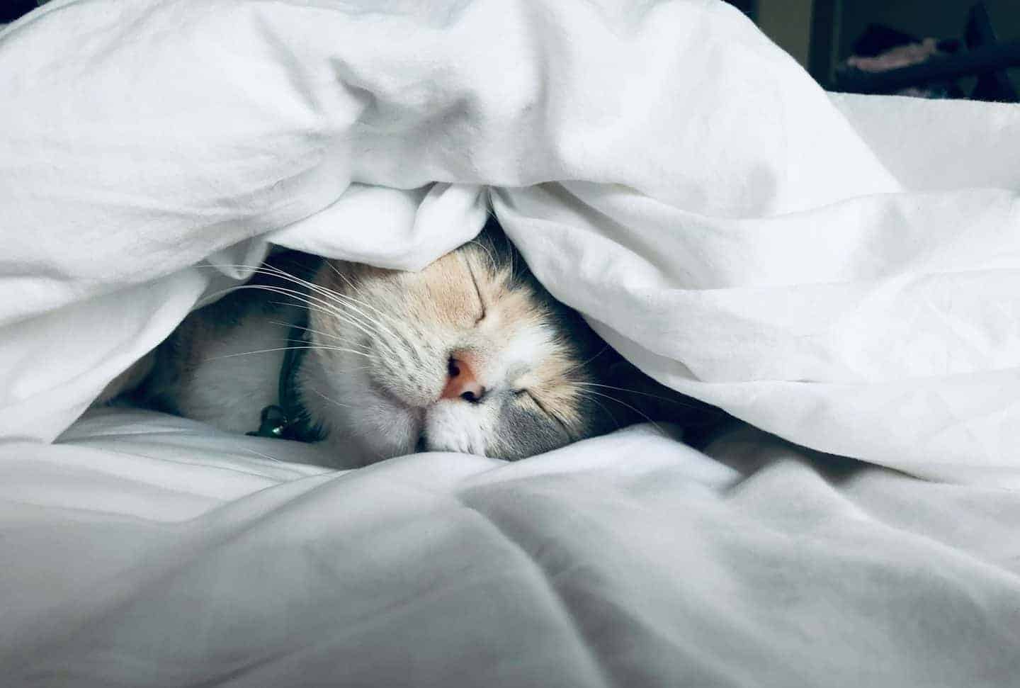 Happy Fatigue: Why Big Positive Changes Still Drain Your Energy