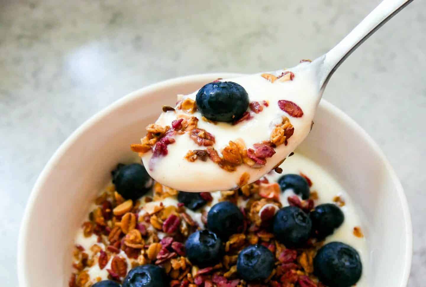Probiotics Explained: How Yogurt Supports Digestion, Immunity, and Recovery
