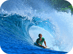 Um homem de camisa verde está bodyboarding dentro de uma onda tubular azul e espumosa, com vegetação tropical verde ao fundo.