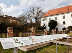 Um painel informativo sobre plantas com texto em alemão e ilustrações está em um jardim, com edifícios de telhados vermelhos e uma árvore ao fundo.