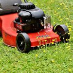 When to put weed killer on lawn