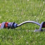 When is the best time to water your lawn?