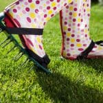 Aeration Tips for a Healthier Winter Lawn