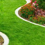 Lush green lawn