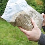 Woman is holding a bag of grass seeds in her hands.