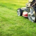 Lawn mower cutting green grass